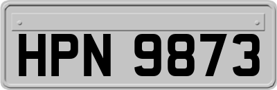 HPN9873