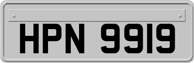 HPN9919