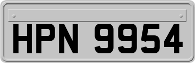 HPN9954