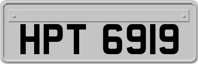 HPT6919