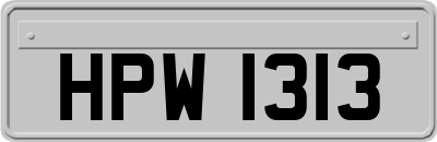 HPW1313