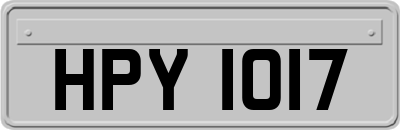 HPY1017