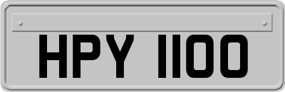 HPY1100