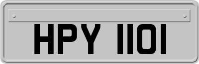 HPY1101