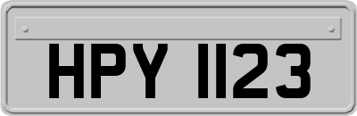 HPY1123