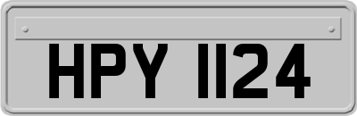 HPY1124