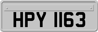 HPY1163
