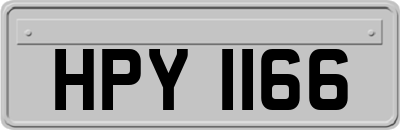 HPY1166