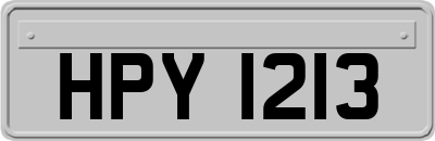 HPY1213