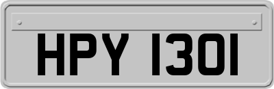 HPY1301