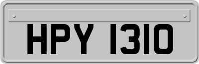 HPY1310