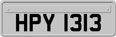 HPY1313