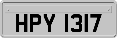 HPY1317