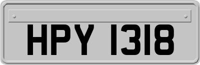 HPY1318