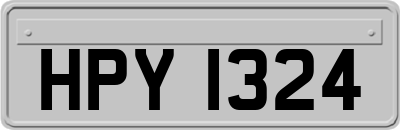 HPY1324