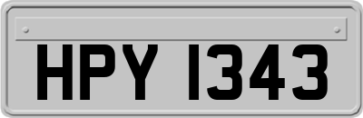 HPY1343