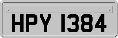 HPY1384