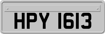 HPY1613
