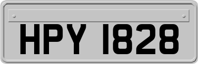 HPY1828