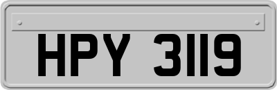 HPY3119