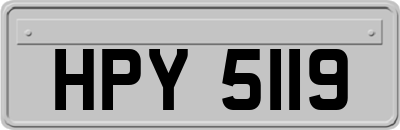 HPY5119