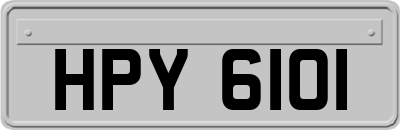 HPY6101