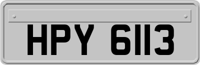 HPY6113