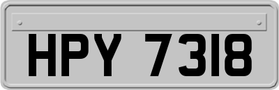 HPY7318