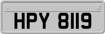 HPY8119