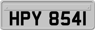 HPY8541