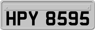 HPY8595