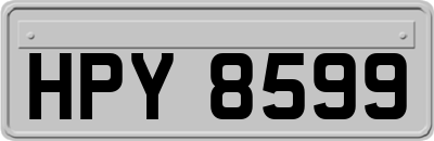 HPY8599