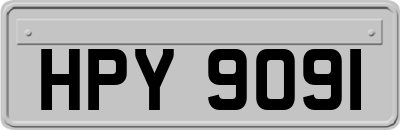 HPY9091