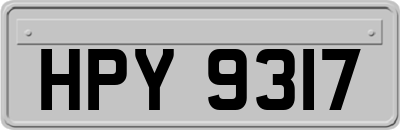 HPY9317