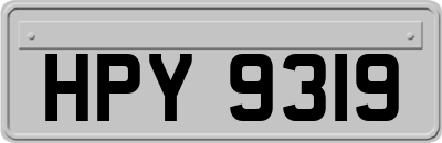 HPY9319