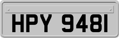 HPY9481