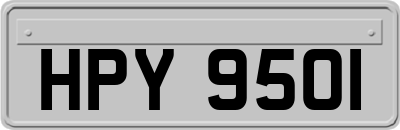 HPY9501