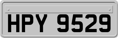 HPY9529