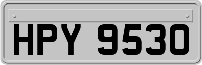 HPY9530