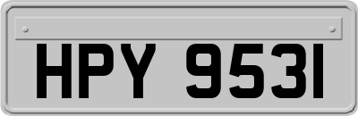 HPY9531