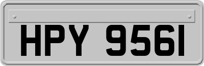 HPY9561