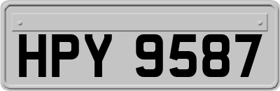 HPY9587