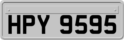 HPY9595