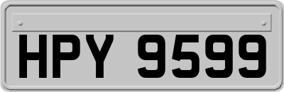 HPY9599