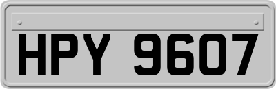 HPY9607