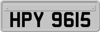 HPY9615