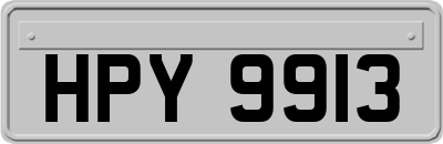 HPY9913