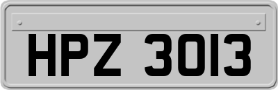 HPZ3013