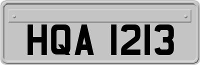 HQA1213