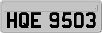 HQE9503